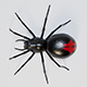 Black Spider 3d Model - 3DOcean Item for Sale