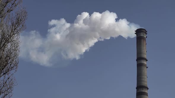 Smoke Comes From the Chimney. Air Pollution. Slow Motion. Ecology. Kyiv. Ukraine