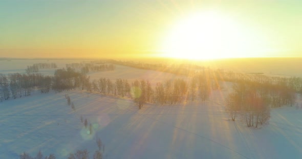 Aerial Drone View of Cold Winter Landscape with Arctic Field Trees Covered with Frost Snow and