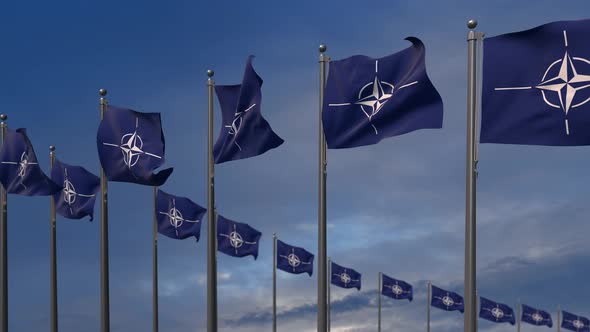 The Nato Flags Waving In The Wind  4K