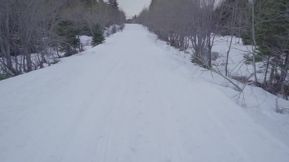 Winter Snowy Road in The Forest 4K