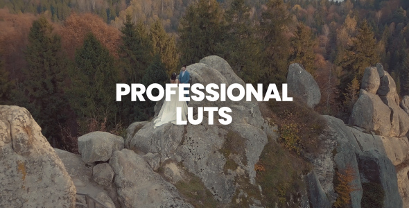 Professional LUTs alt