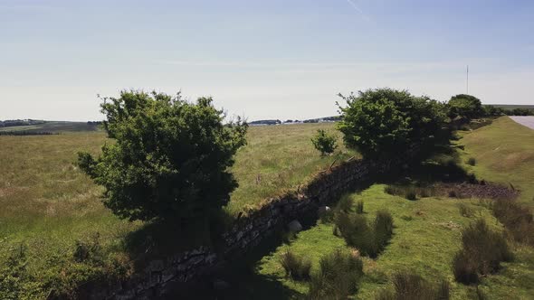 Aerial view of the Dartmoor National Park. Its lushes green trees and grass is beautiful. This park