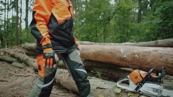 Hard Work Portrait of a Female Logger Sitting in the Forest Young Specialist in Protective Gear