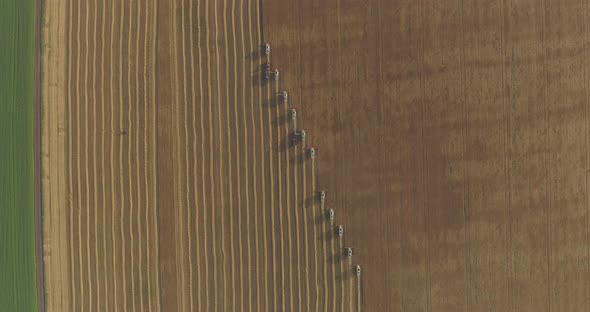 Combine harvesters seen from above