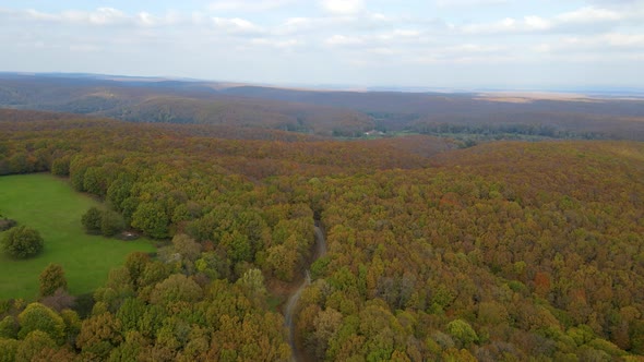 trees in red and orange colors in autumn, great autumn day