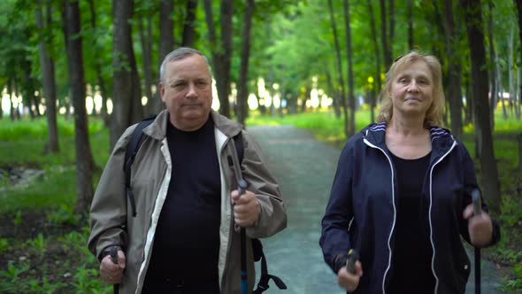 Seniors is Engaged in Nordic Walking in the Forest