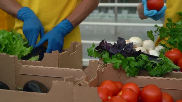 Close Up of Woman and Man Hands in Gloves Packing Box with Fresh Vegetables and Mushrooms