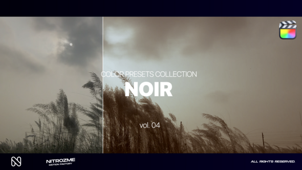 Noir LUT Collection Vol. 04 for Final Cut Pro X alt