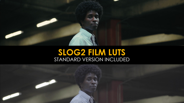 Film Slog2 and Standard Color LUTs