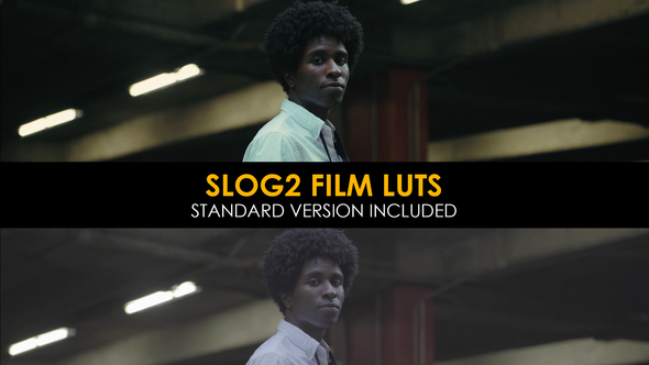 Film Slog2 and Standard Color LUTs alt