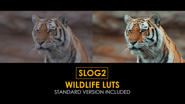 Slog2 Wildlife and Standard Color LUTs alt