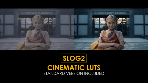 Slog2 Cinematic and Standard Color LUTs alt