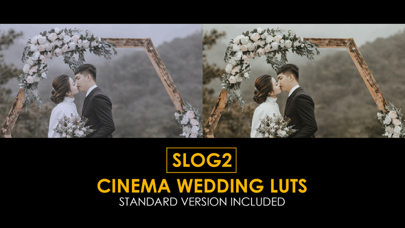 Slog2 Cinema Wedding and Standard Color LUTs