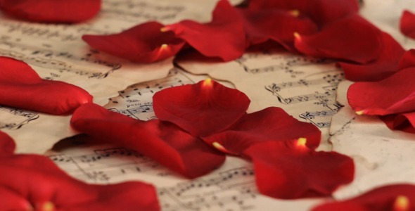 Rose Petals Falling onto Sheet Music