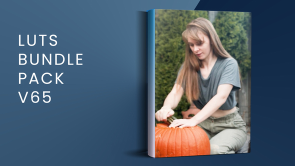 LUTs Bundle Pack V65  | FCPX alt