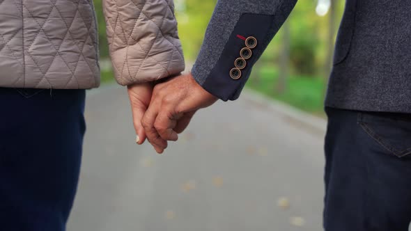 Crop Couple Holding Hands in Park