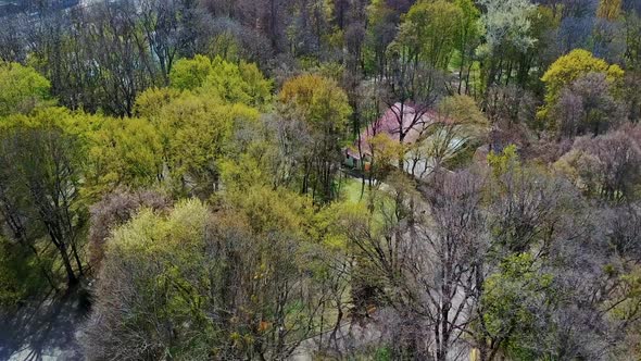 Large public park. Aerial skyline view of public park