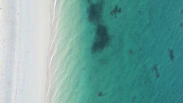 Vertical Video of the Ocean Near the Coast of Zanzibar Tanzania Aerial View