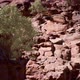 Grand Canyon Cliff Tilt Up 4K - VideoHive Item for Sale