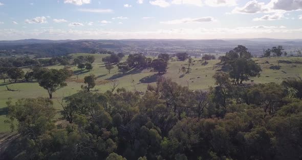 Aerial flight over forest in Australia with sun and clouds in the background, long distance shot mov