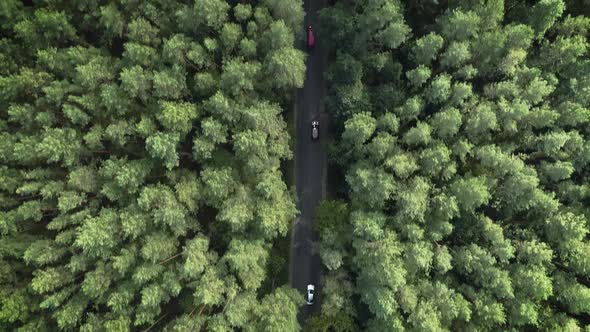 K Cinematic Drone Shot - Flying Over a Road. Discovering a Road in the Middle of a Beautiful Forest