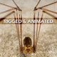 Spider Pholcus Phalangioides (rigged) - 3DOcean Item for Sale