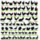 77 Farm Birds Detailed Silhouettes Set - GraphicRiver Item for Sale