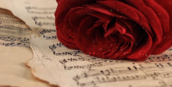 Putting Red Rose onto Vintage Sheet Music