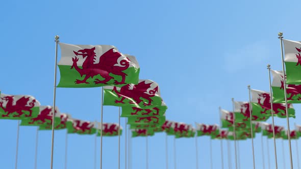 Wales row flag Row Of Flags Animation