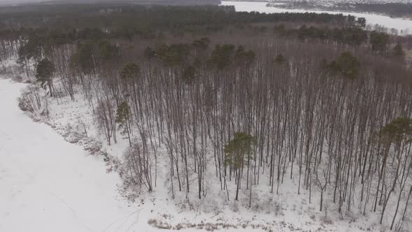 Aerial View Frozen Shore Near The Forest