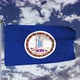 Virginia Flag Waving - VideoHive Item for Sale