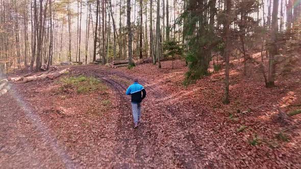 Man Running on a Forest Trail in Autumn Scenery, Jogging in the Woods