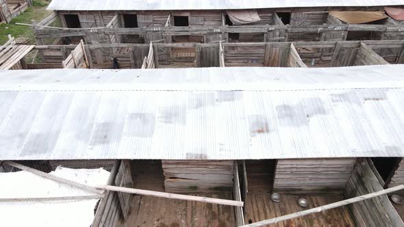 Aerial View of a Shelter for Stray Dogs