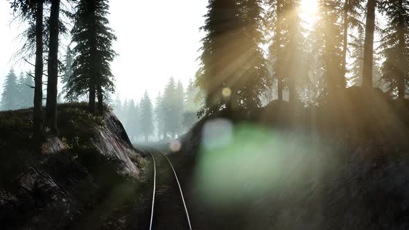 Flight Over Railway