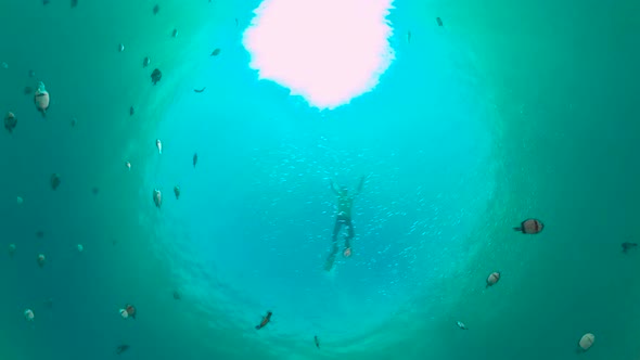 Coral Reef and Tropical Fish. Bohol, Philippines.