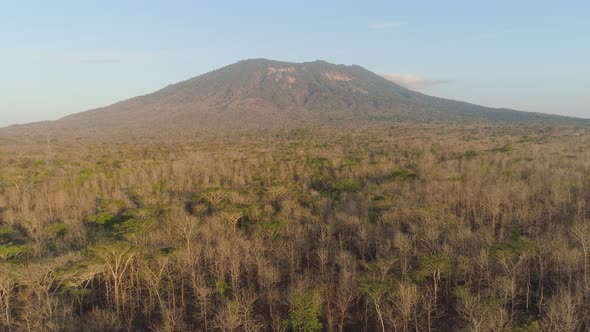 Tropical Landscape with Mountain Indonesia