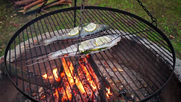 Delicious Trout with Spices Roast on a Grill Over a Fire