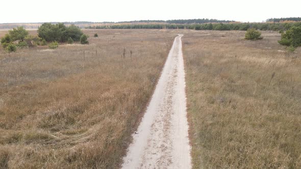 A Dirt Road Through an Empty Field