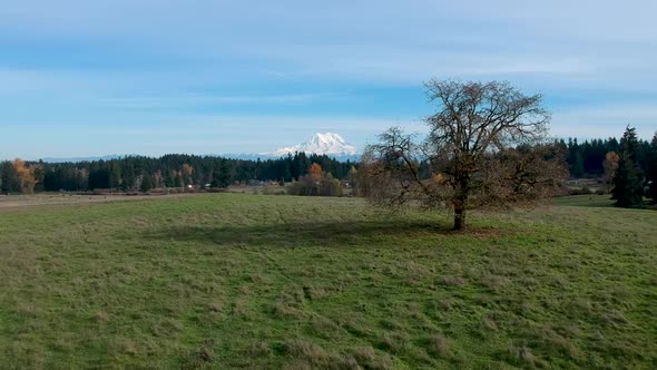 A beautiful crisp fall day in Washington State.  Ariel footage of green pasture with the snow-capped