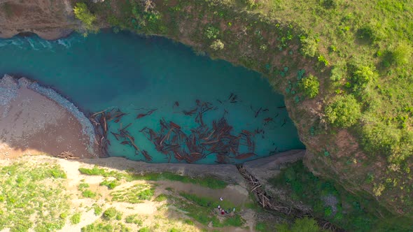 Aerial Top View on Lot of Driftwood in Bluer River on Aksu Canyon in AksuZhabagly Nature Reserve