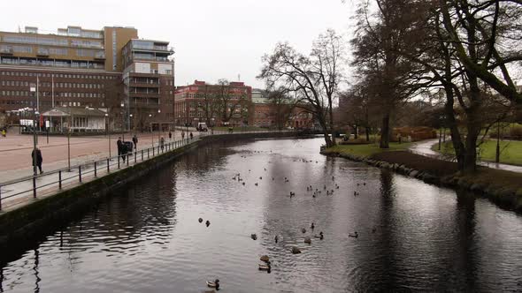 Ducks swimming river near beautiful Swedish town, aerial low altitude shot