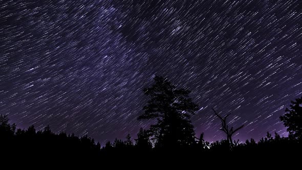 Star Trails in the Night Sky