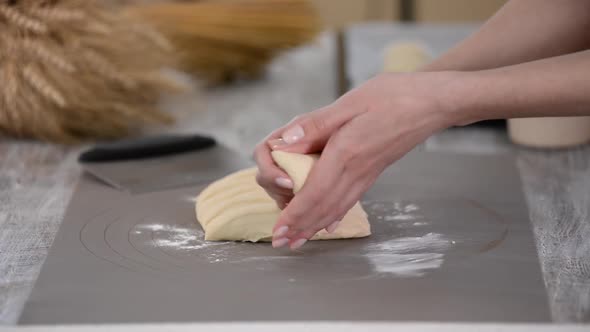 Woman Hands Rolls Bread Rolls Dough. Making Yeast Buns.