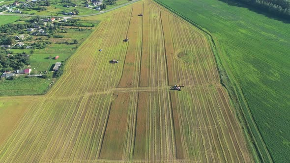 Combine Harvester Working on a Wheat Field