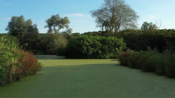 Flight Over A Beautiful Lake Dotted With Green Vegetation 