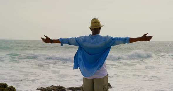 Rear view of African american man standing with arms outstretched on the beach 4k