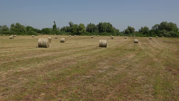 Straw Bales 21