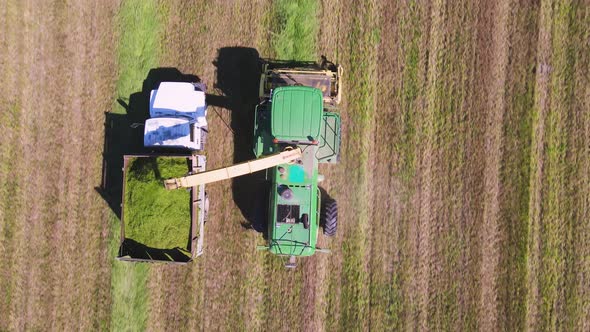 Harvester Loads Chopped Grass Into the Back of a Truck Aerial View