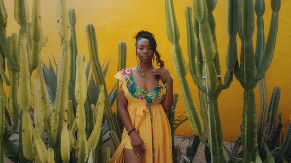 Portrait of a Young Pretty AfricanAmerican Woman with Afro Braids in a Yellow Dress